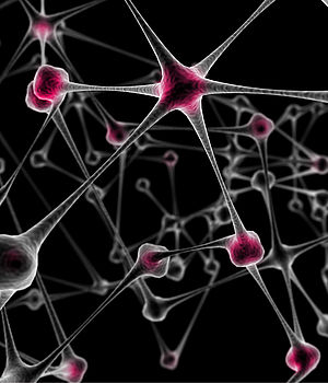 Bild (c) sxc / gerard78